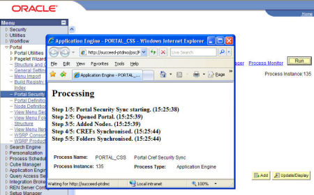 custom ren server window